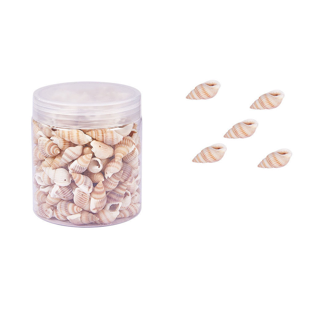 1 Box Natural Seashells Craft  - Art Craft Gallery のレビューと価格