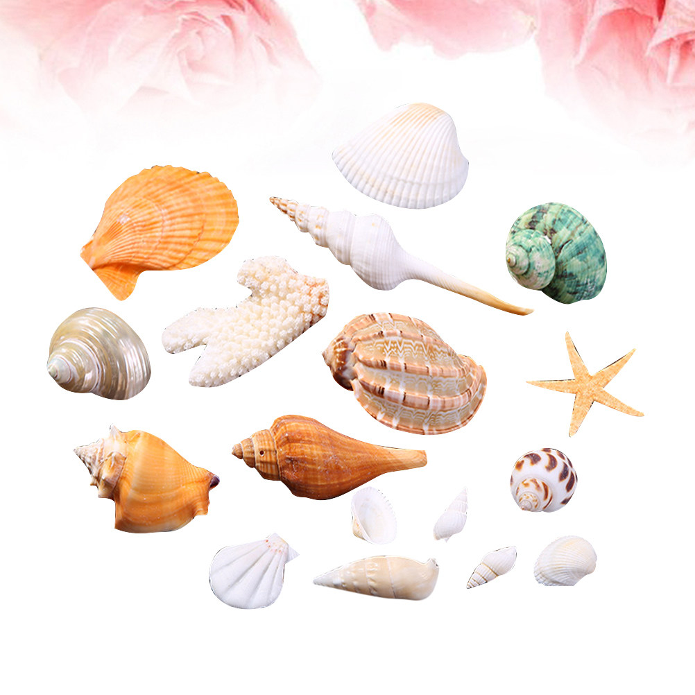 Natural Shell DIY Craft Charms - Art Craft Gallery のレビューと価格