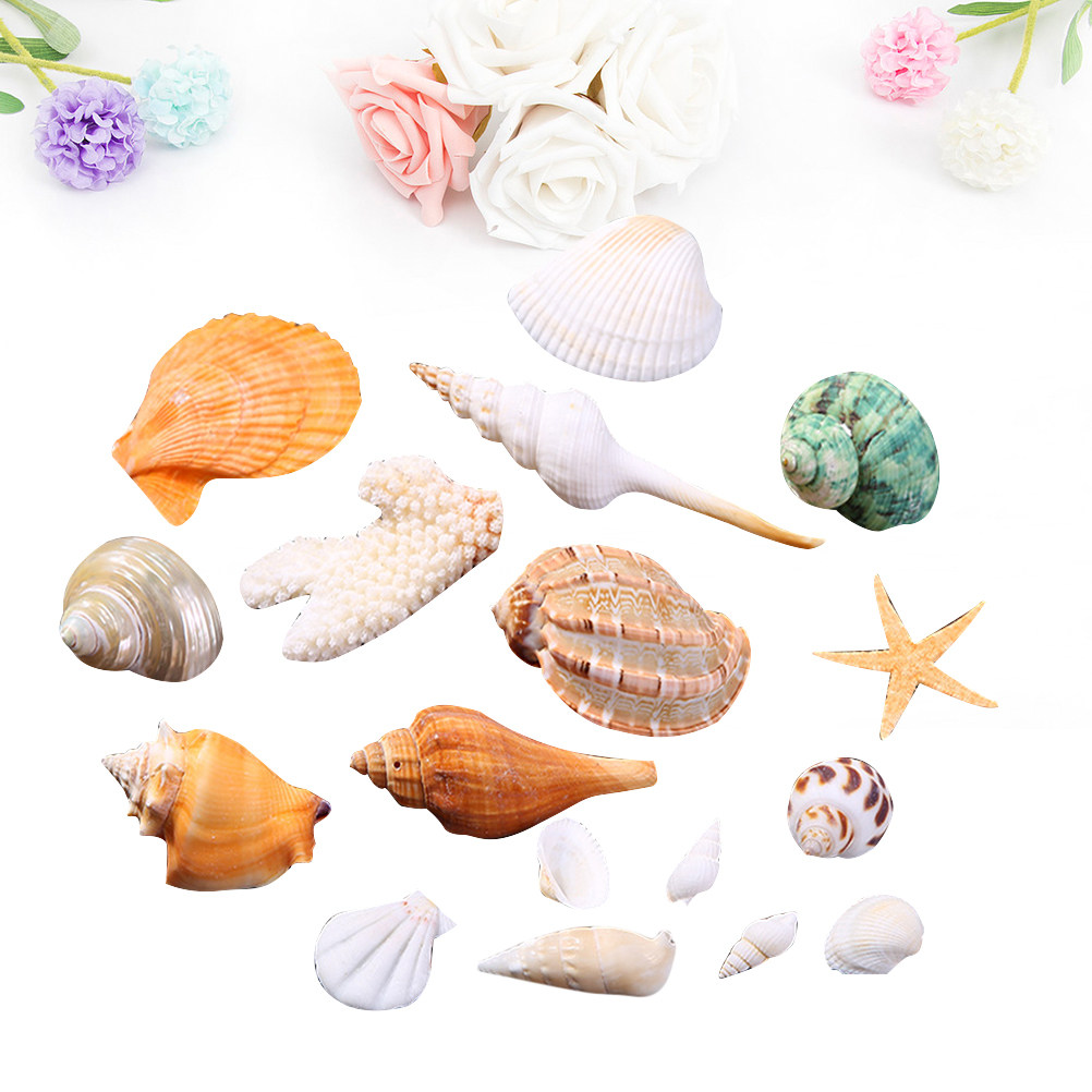 Natural Shell DIY Craft Charms - Art Craft Gallery のレビューと価格