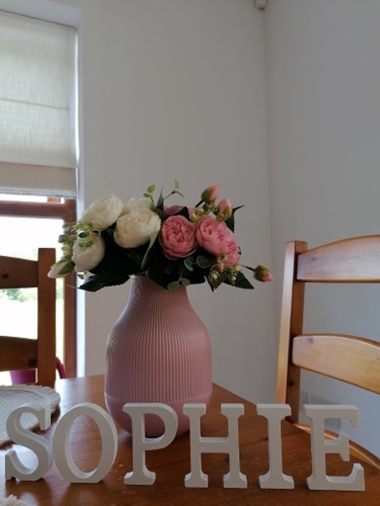 1pc 8CM White Wooden Letter En - Letter S Art Craft のレビューと価格